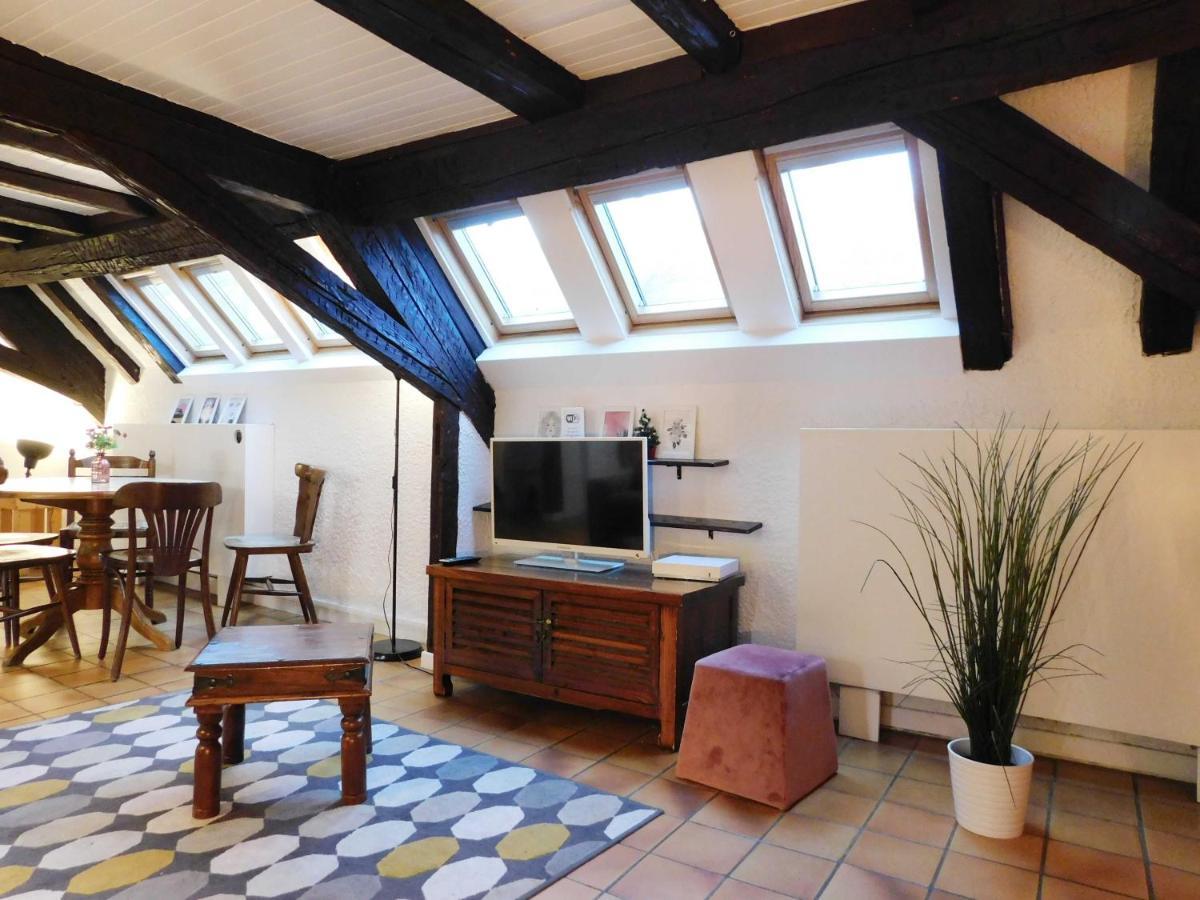 Appartement Typique Et Cosy A Deux Pas De La Cathedrale Страсбург Екстер'єр фото